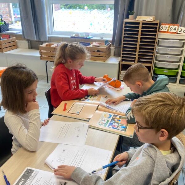 Img 4677 (1)